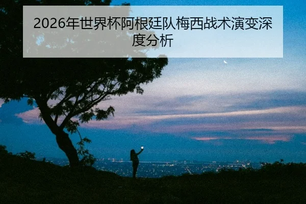 nian-shi-jie-bei-a-gen-ting-dui-mei-xi-zhan-shu-yan-bian-shen-du-fen-xi-2-420.jpg