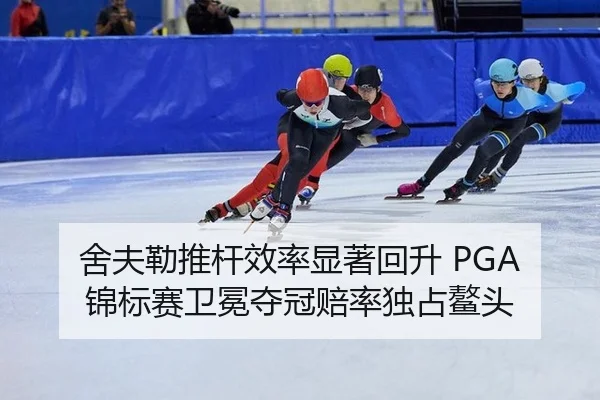 she-fu-lei-tui-gan-xiao-lv-xian-zhu-hui-sheng-jin-biao-sai-wei-mian-duo-guan-pei-lv-du-zhan-ao-tou-3-710.jpg