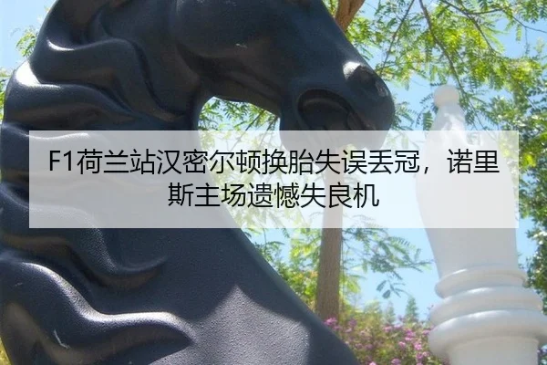 F1荷兰站汉密尔顿换胎失误丢冠，诺里斯主场遗憾失良机