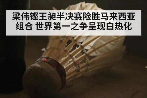 梁伟铿王昶半决赛险胜马来西亚组合 世界第一之争呈现白热化